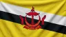 Current flag of Brunei