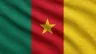 Current flag of Cameroon