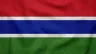 Current flag of Gambia