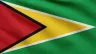 Current flag of Guyana