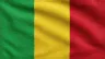 Current flag of Mali
