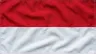 Current flag of Monaco