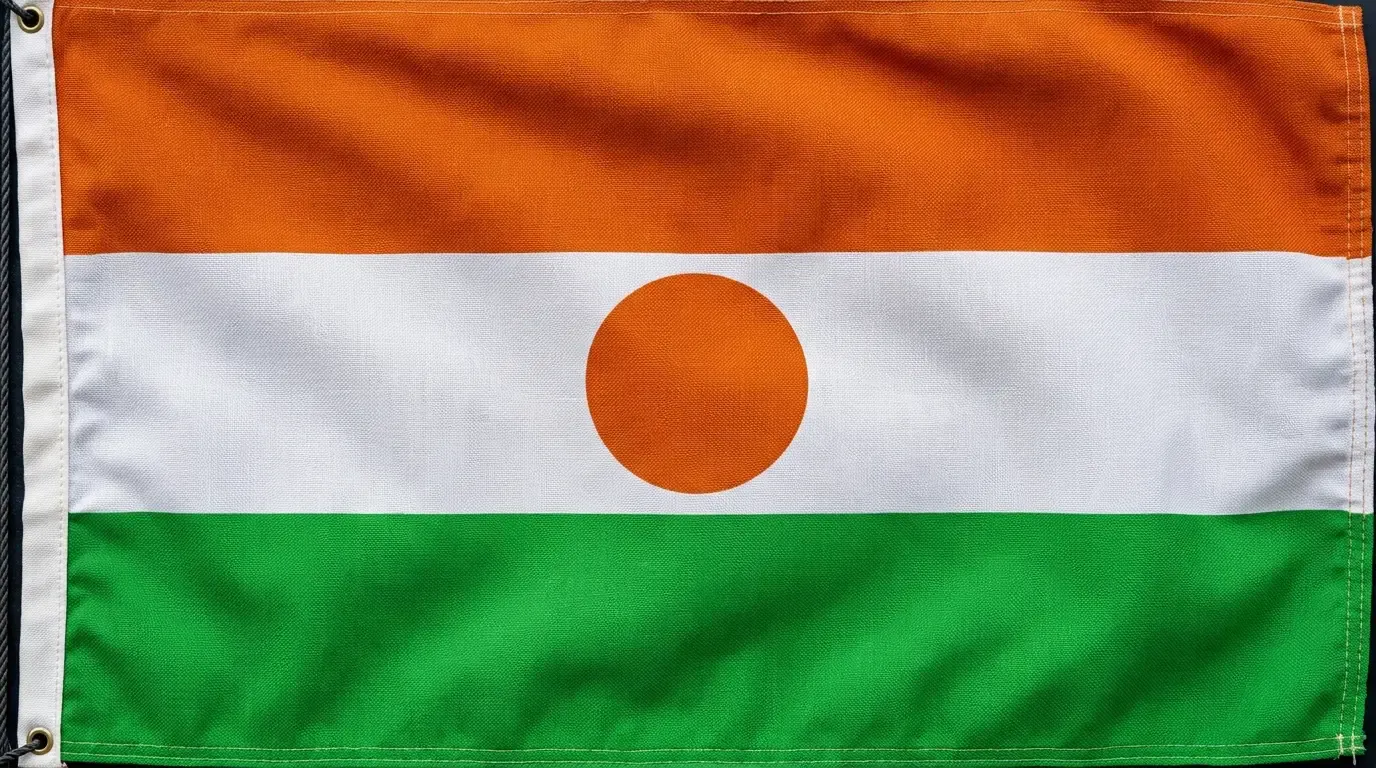 Current flag of Niger