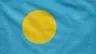 Current flag of Palau