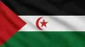 Current flag of Western Sahara
