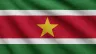 Current flag of Suriname