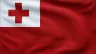 Current flag of Tonga