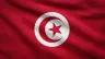 Current flag of Tunisia