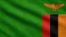 Current flag of Zambia