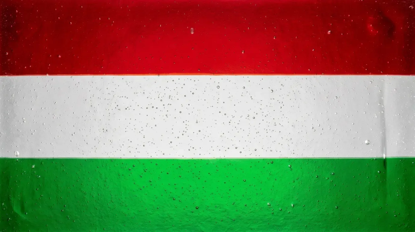 Artistic fused glass panel with the flag of Hungary